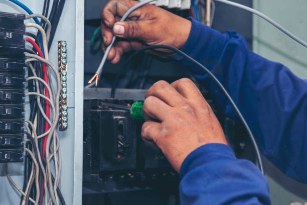 Best Home Electrical Repair  in Trenton, IL