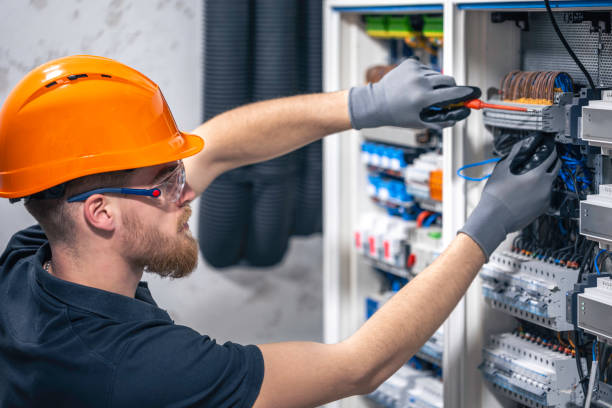 Best Electric Panel Repair  in Trenton, IL